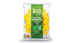450G MANGUES MORCEAUX BIO